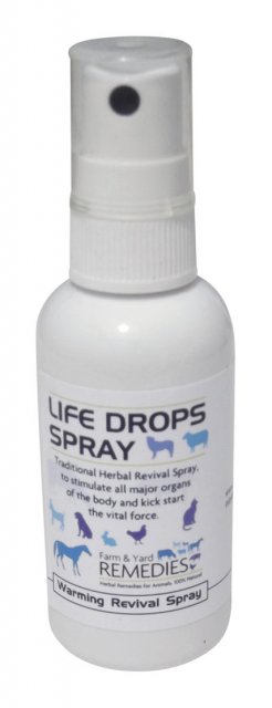 Battles Battles Life Drop Spray 30ml