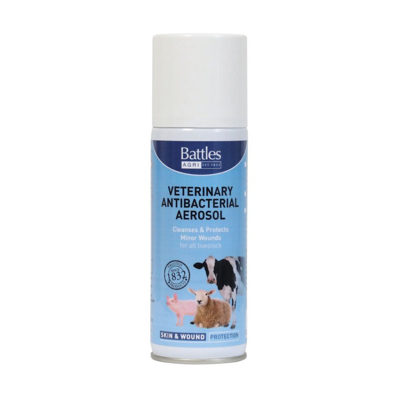 Battles Battles Antibacterial Spray - 150g