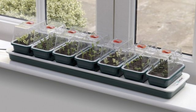 Garland Garland Super 7 Propagator