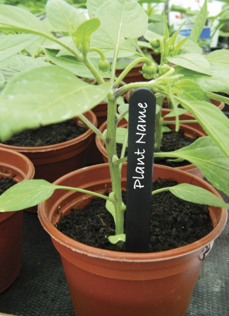 Garland Garland Plant Labels 13cm 25pk