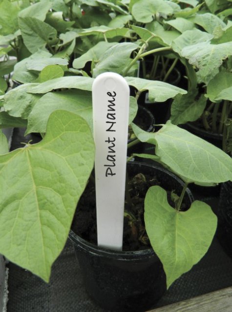 Garland Garland Plant Labels 15cm 25pk