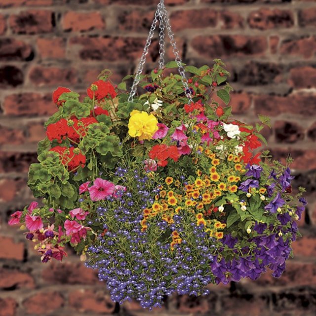 Garland Garland Hang Basket Chain