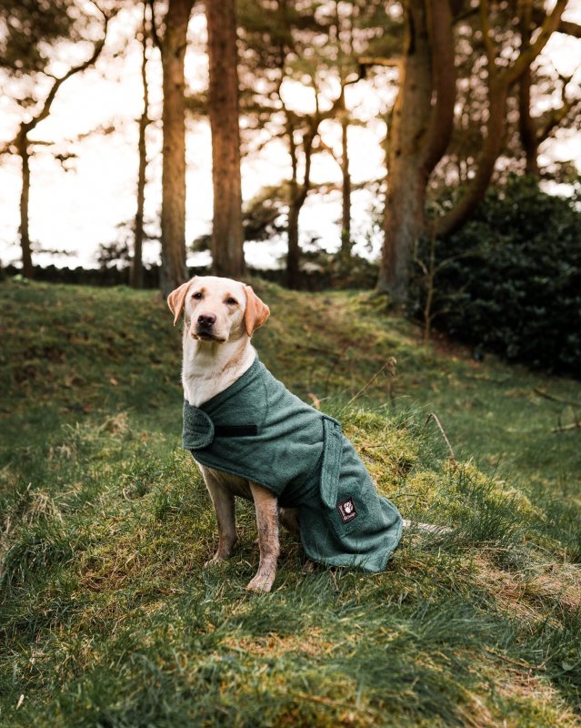 Danish Design Towelling Dog Robe Green