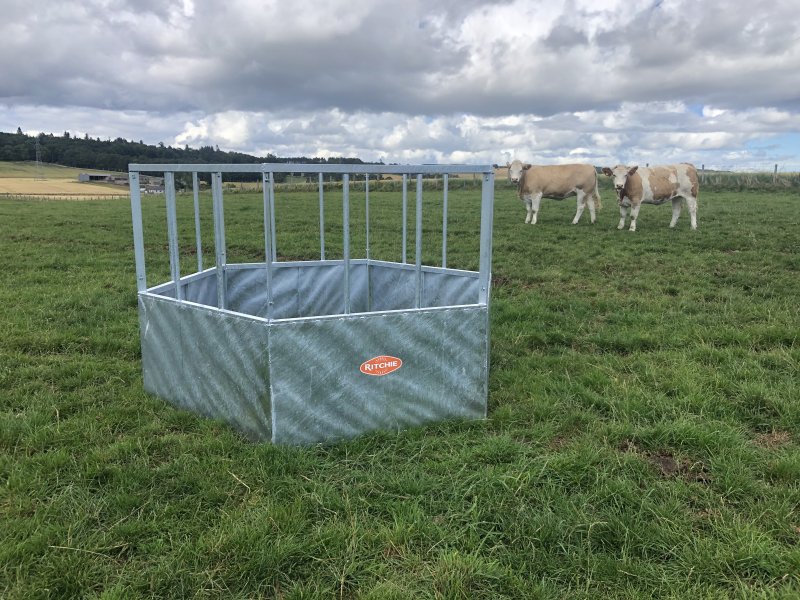 Ritchie Hexagonal Feed Ring Cattle H/d Ritchie