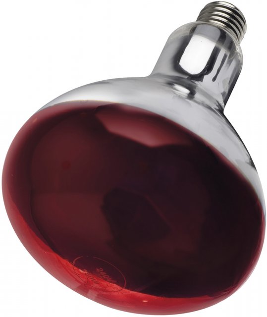 Interlec Infra Red Bulb Ruby - 250w