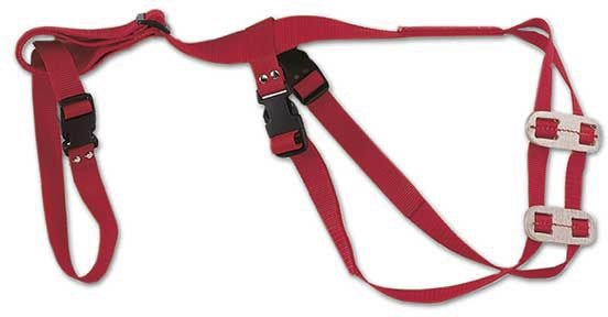 Allflex Prolapse Harness (red)