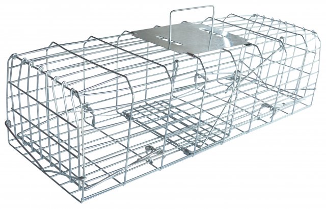 Pelsis Squirrel Trap - Wire Cage