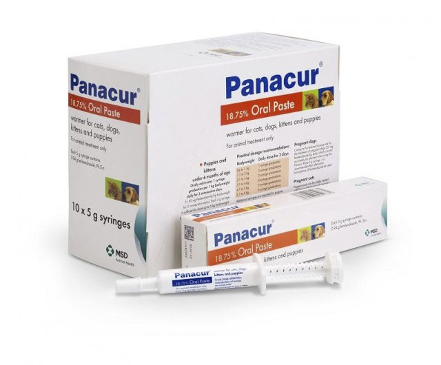MSD Panacur Paste For Dog & Cat - 1 X 5g Syringe