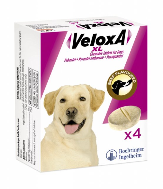 Boehringer Ingelheim Veloxa Xl Dog - 4 Tablets