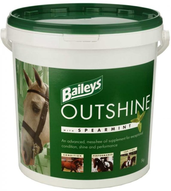Baileys Baileys Outshine Spearmint - 5KG