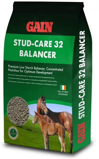 Gain Gain Stud-care 32 Balancer - 25kg