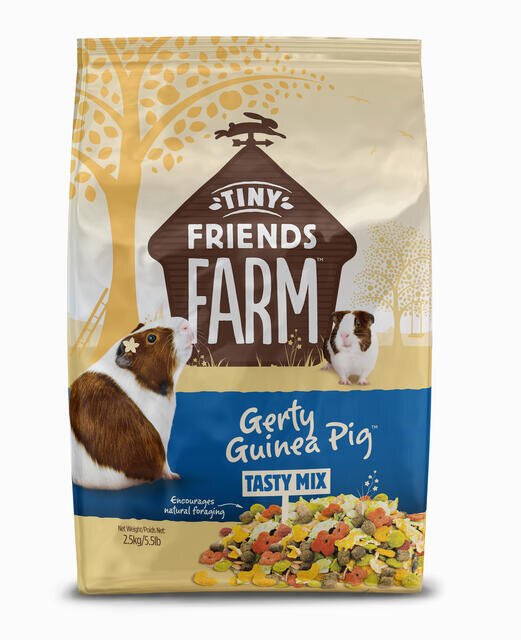 Tiny Friends Tiny Friends Gerty Guinea Pig 2.5kg