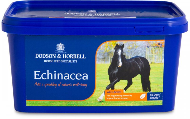 Dodson & Horrell Dodson & Horrell Echinacea - 1kg