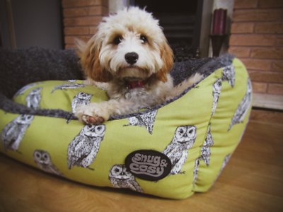 Snug & Cosy Snug & Cosy  Dog Bed Rectangular 25'