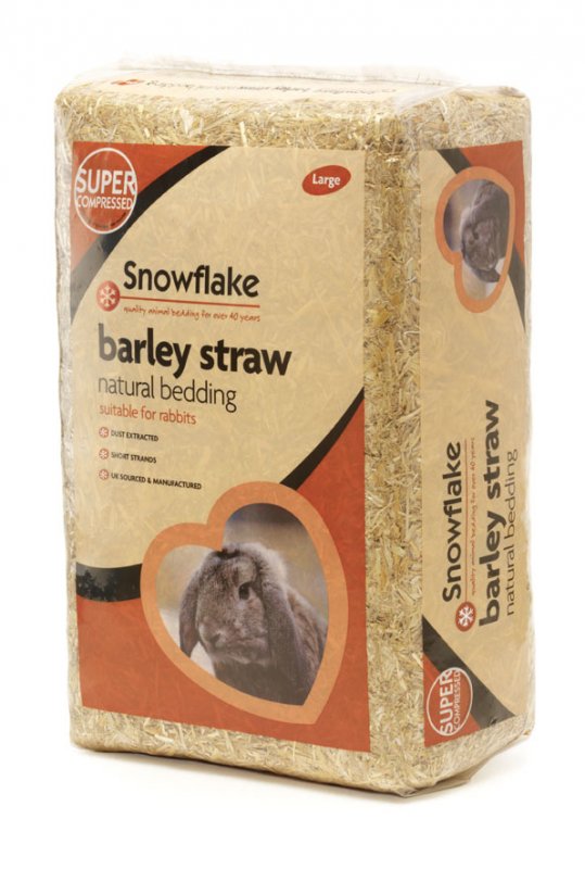 Snowflake Snowflake Barley Straw