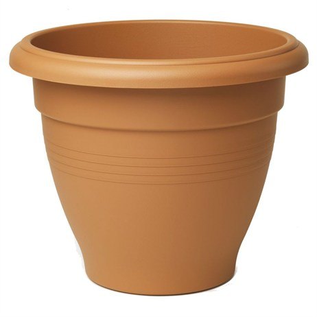 Stewart Garden Stewart Palladian - 30cm