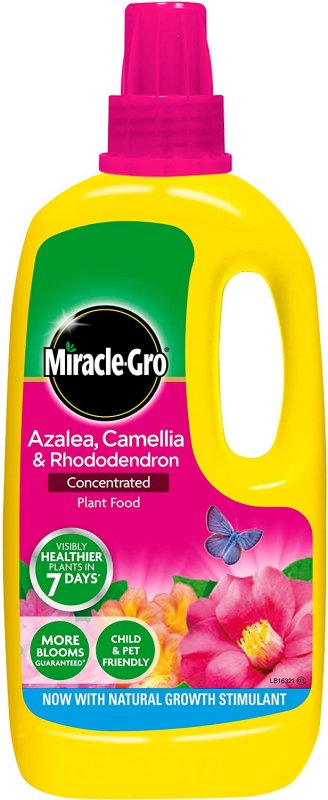 Miracle-Gro Miracle-Gro Ericaceous - Plant Feed - 1l
