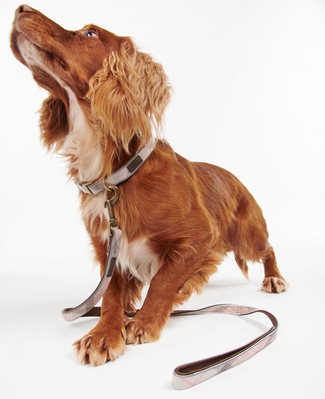Barbour reflective 2025 dog collar