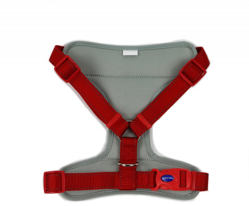 Ancol Ancol Travel & Exercise Harness - Large