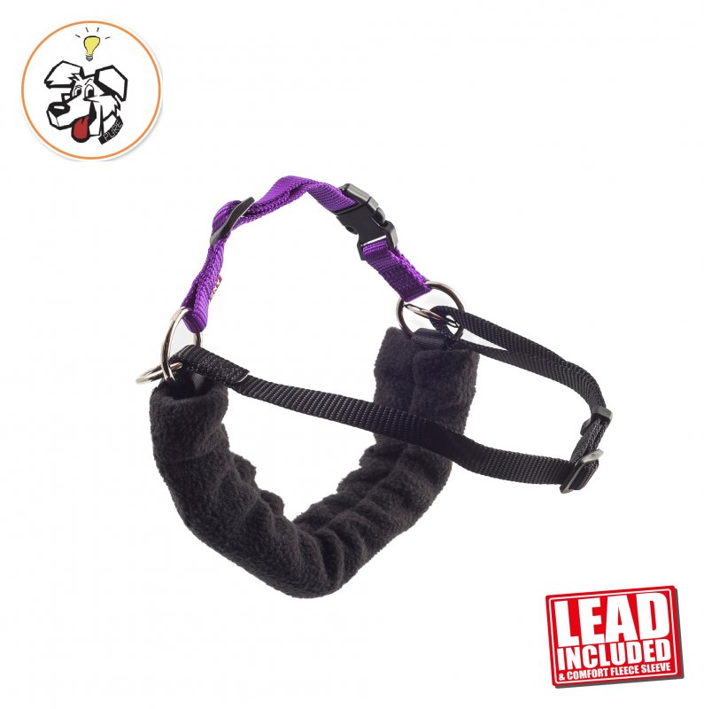 Ancol Ancol Pdl Harness & Lead - Medium