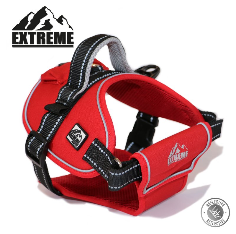 Ancol Extreme Harness Small BATA Ltd