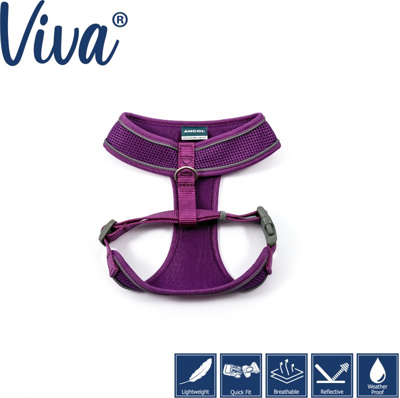 Ancol shop dog harness