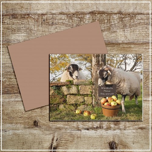 Kitchy & Co Kitchy & Co Greetings Card Scrumping Apples