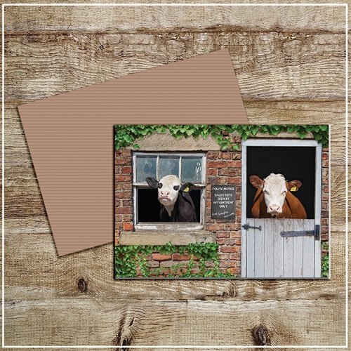 Kitchy & Co Kitchy & Co Greetings Card Free Samples Welcome