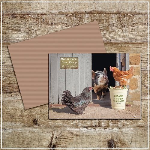 Kitchy & Co Kitchy & Co Greetings Card Manour Farm