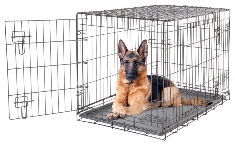 X Large 2 Door Dog Crate - 106.5 X 70 X 77cm