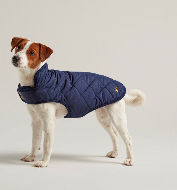 Joules Quilted Dog Coat BATA Ltd