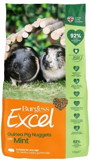 Burgess Burgess Guinea Pig Excel With Mint - 1.5kg