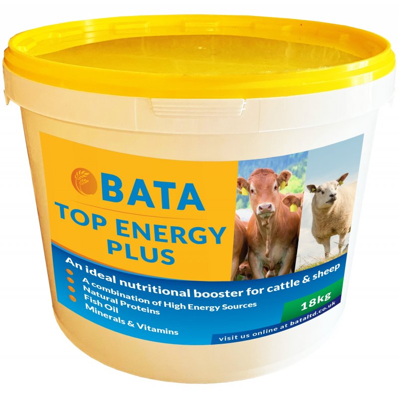 BATA BATA Top Energy Plus Lick - 18kg