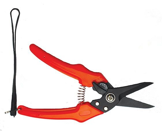 Allflex Trafalgar Lightweight Footrot Shear