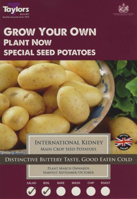 Taylors Bulbs International Kidney Potato - Seed Potato - 10pk