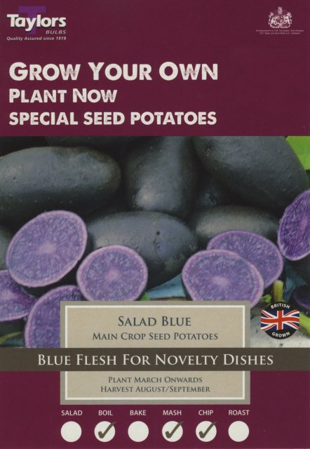 Taylors Bulbs Salad Blue Seed Potato - 10pk