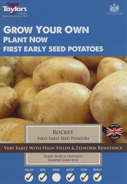 Taylors Bulbs Rocket Potato - 10pk