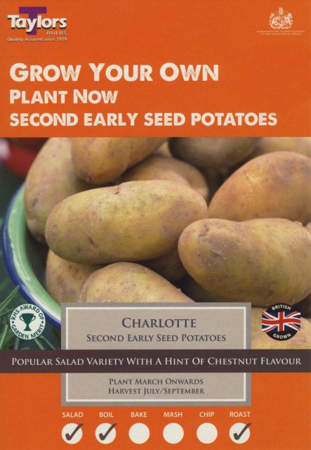 Taylors Bulbs Charlotte Seed Potato - 10pk