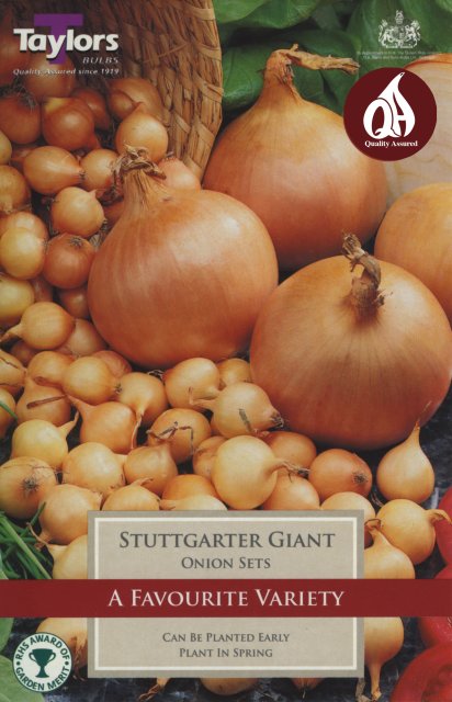 Taylors Bulbs Onion Sets Stuttgarter Giant - 50pk