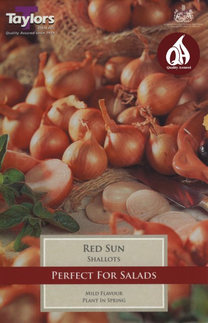 Taylors Bulbs Shallot Red Sun - 12pk