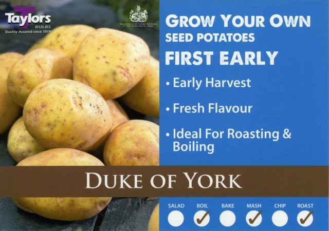 Taylors Bulbs Duke Of York Seed Potato - 2kg