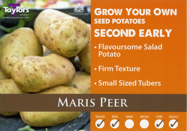 Taylors Bulbs Maris Peer Seed Potato - 2kg