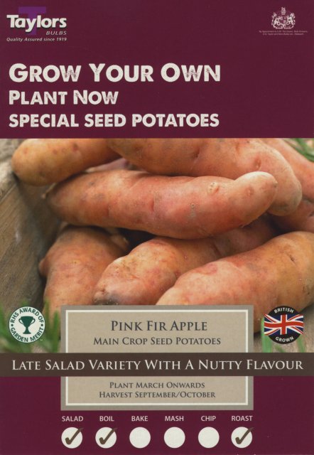 Taylors Bulbs Pink Fir Apple Seed Potato - 10pk