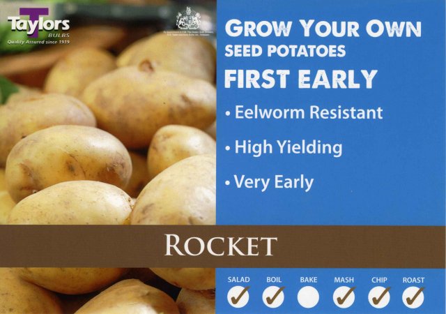 Taylors Bulbs Rocket Seed Potato - 2kg