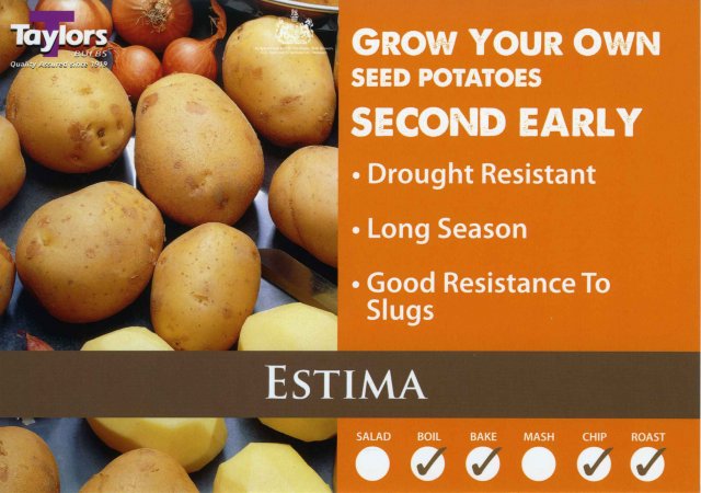 Taylors Bulbs Estima Seed Potato - 2kg