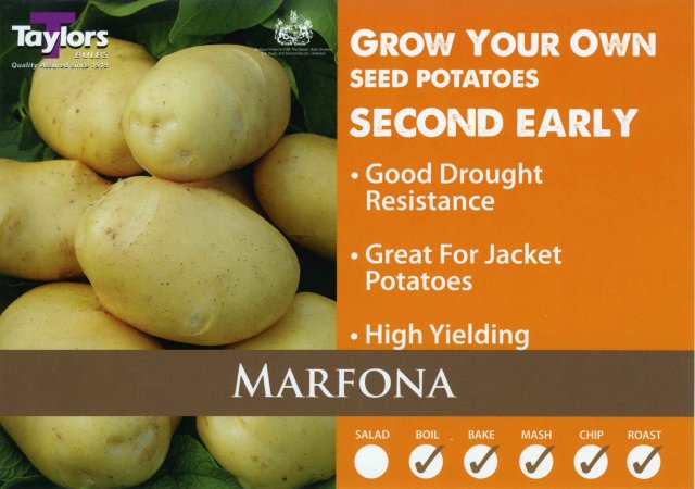 Taylors Bulbs Marfona Seed Potato - 2kg