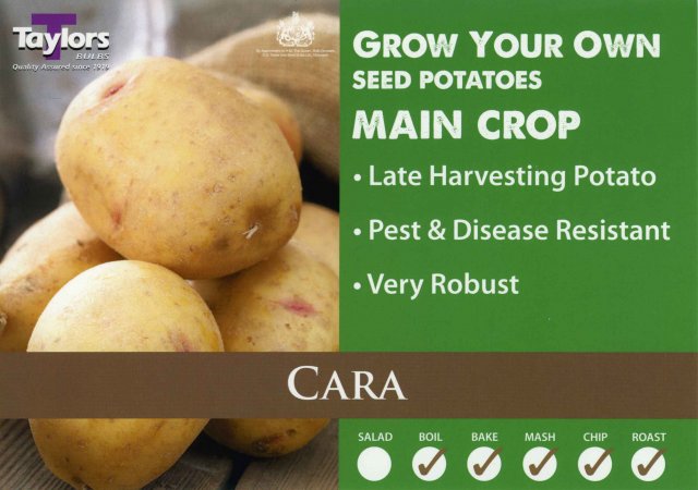 Taylors Bulbs Cara Seed Potato - 2kg