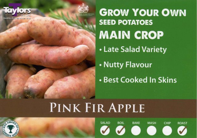 Taylors Bulbs Pink Fir Apple Seed Potato - 2kg
