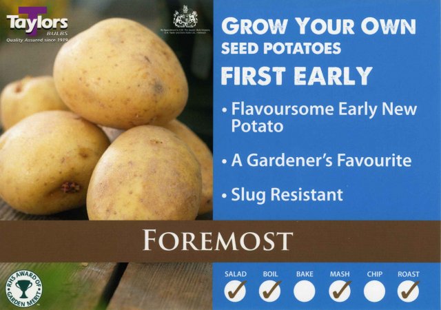 Taylors Bulbs Foremost Seed Potato - 2kg