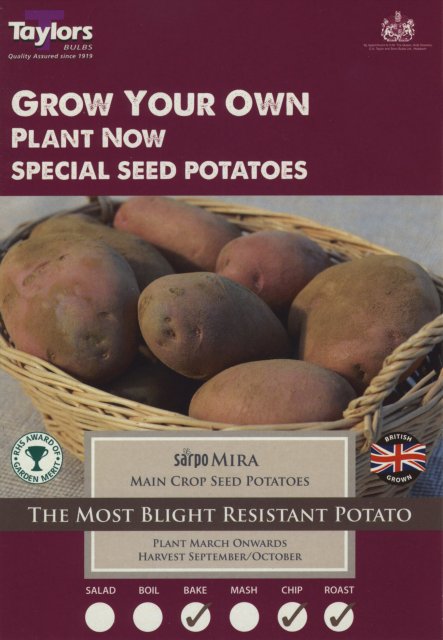Taylors Bulbs Sarpo Mira Seed Potato - 10pk